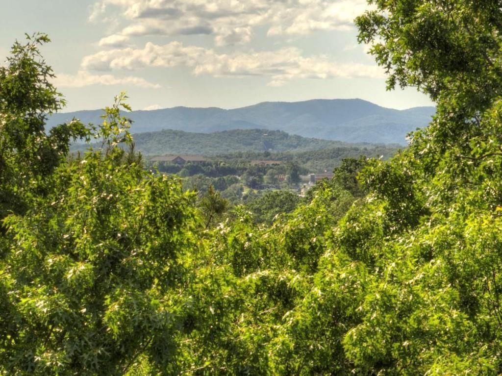 LT 15 Tanglewood Cove Ln., Blue Ridge, GA 30513