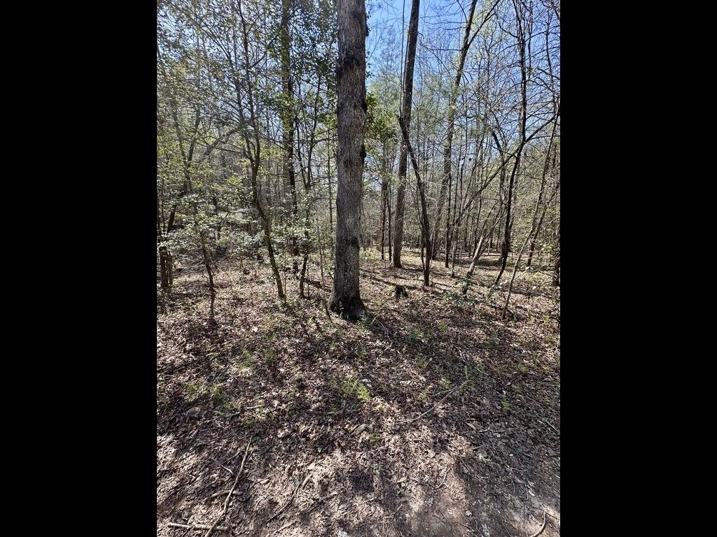 TR C East New Hope Rd., Ellijay, GA 30536