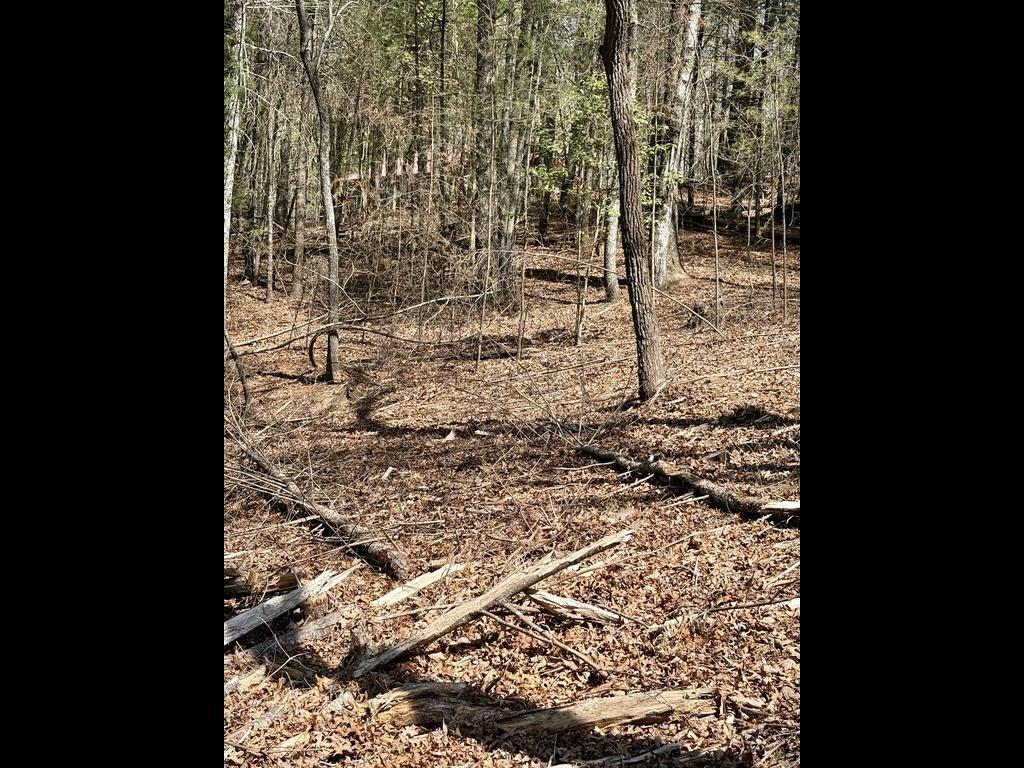 TR 2 East New Hope Rd., Ellijay, GA 30536
