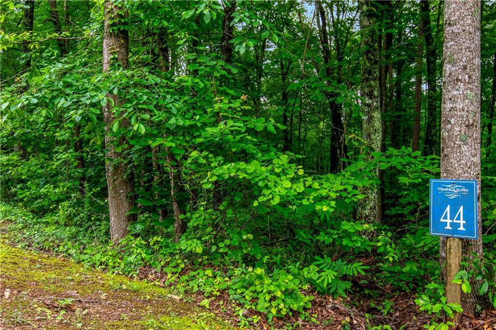 Lot 44 Harris Creek Dr., Ellijay, GA 30540