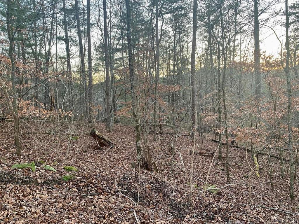 1684 Shade Tree Dr., Talking Rock, GA 30175