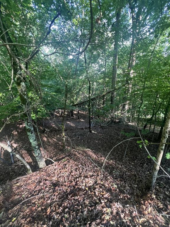 S Bend Rd., Gainesville, GA 30506