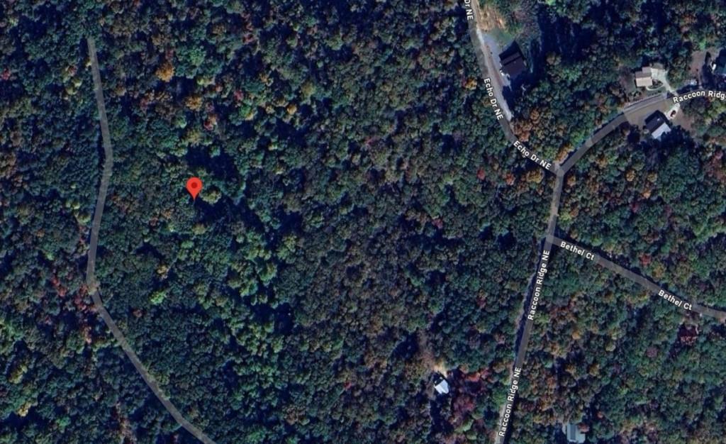 1009 N Cut Dr., Ranger, GA 30734