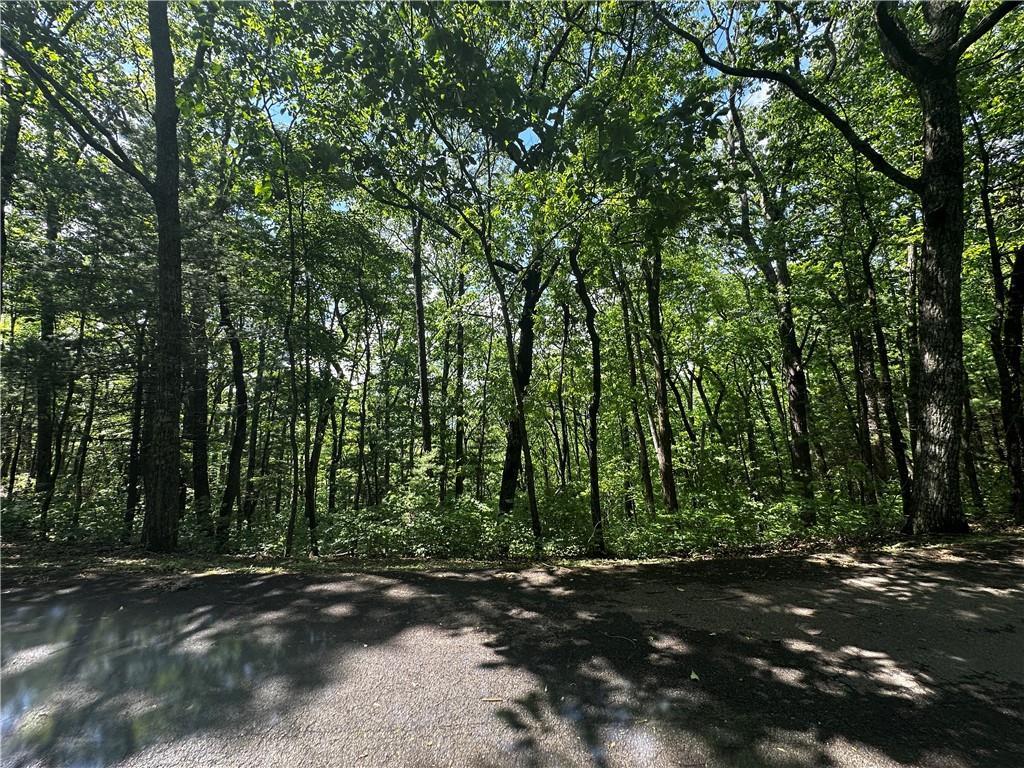 Lot 14 Oceola Dr., Ellijay, GA 30540