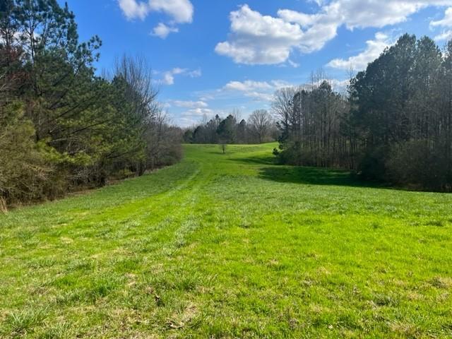 00 Mark Foster Rd., Talking Rock, GA 30175