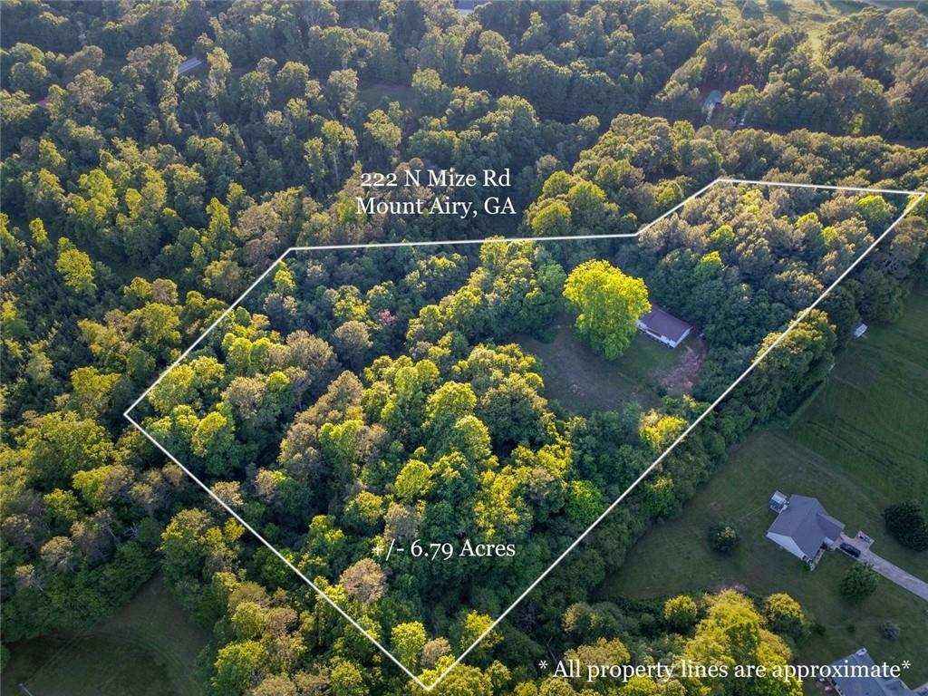 222 N North Mize Rd., Mount Airy, GA 30563