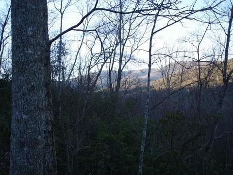 8182 Red Maple Ln., Big Canoe, GA 30143