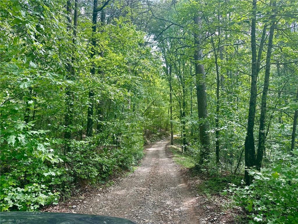 Charlie Lemley Rd., Dawsonville, GA 30534