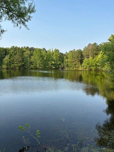 Starr Hinson Rd., Thomson, GA 30824
