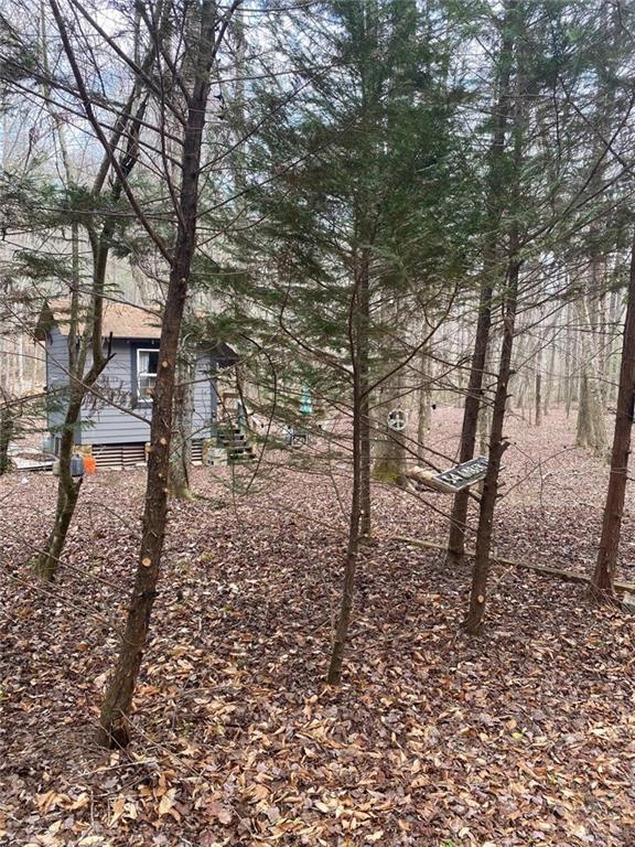 Amber Ln., Ellijay, GA 30540