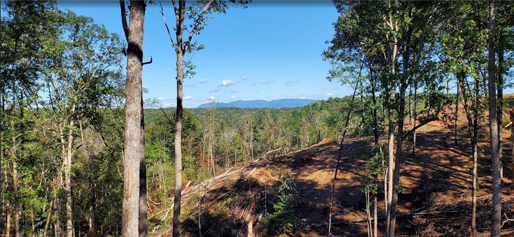 Lot 96 Jakes Landing Way, Ellijay, GA 30540