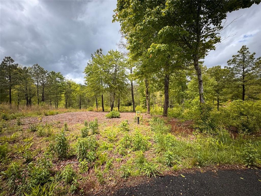 35 Arbor Creek Point, Mineral Bluff, GA 30559