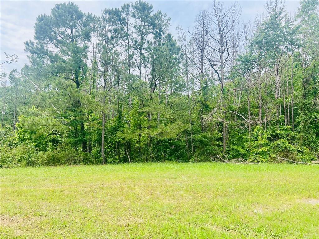 30 Ridgeline Way, Cartersville, GA 30121