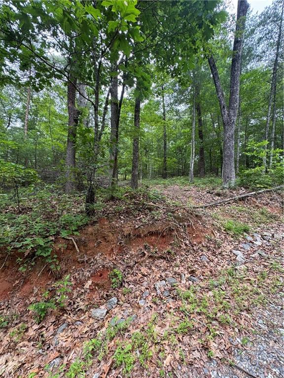 Nimblewill Creek Rd., Dahlonega, GA 30533