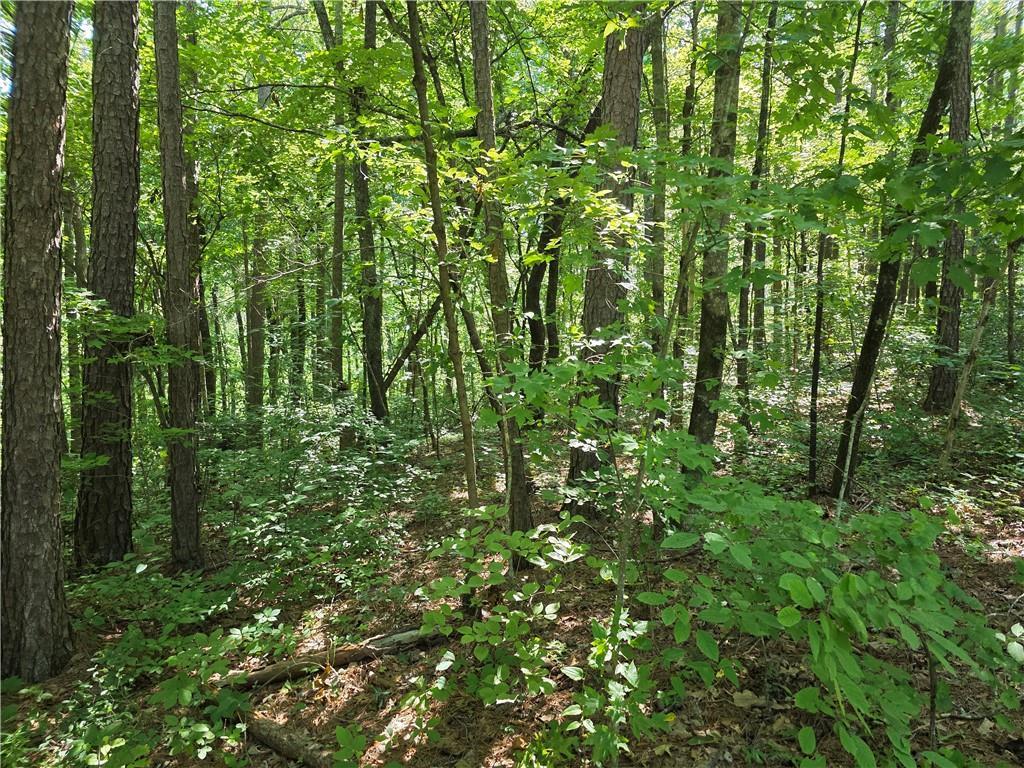 Lawson Federal Rd., Ball Ground, GA 30107