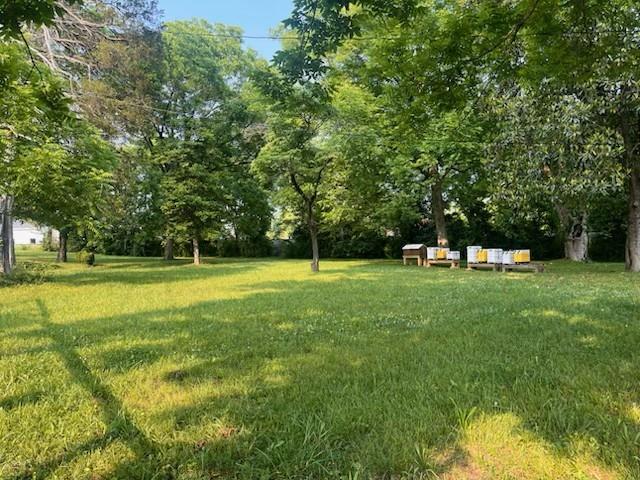 120 Valley St., Ball Ground, GA 30107
