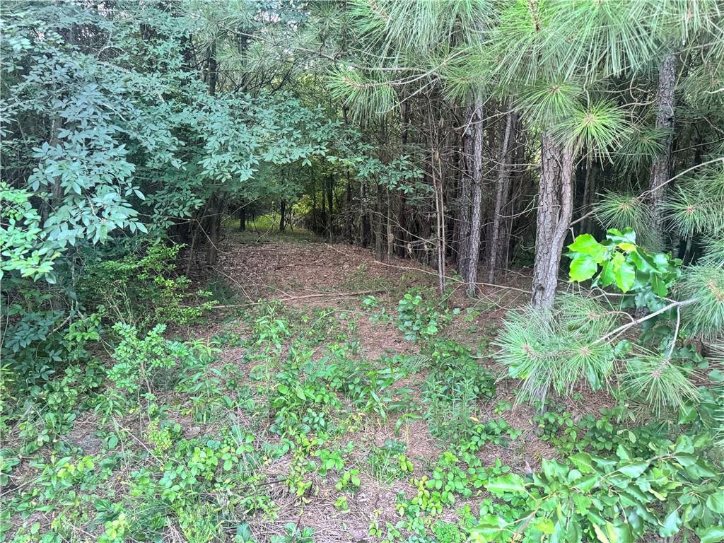 Dews Pond Rd., Calhoun, GA 30701