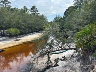 0000 St. Mary's River Bluff, Ltd, Saint George, GA 31562