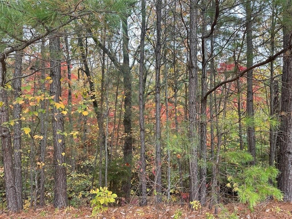 125 Spring Lake Tr., White, GA 30184