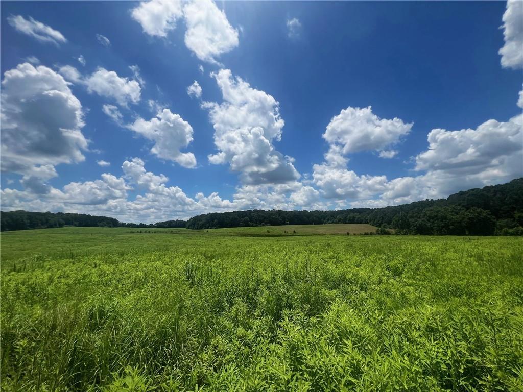 00002 Lovebridge Rd, Calhoun, GA 30701