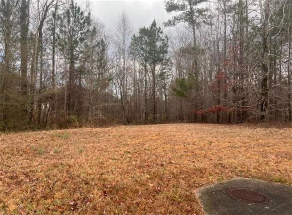 1700 Carissa Dr., Conyers, GA 30094