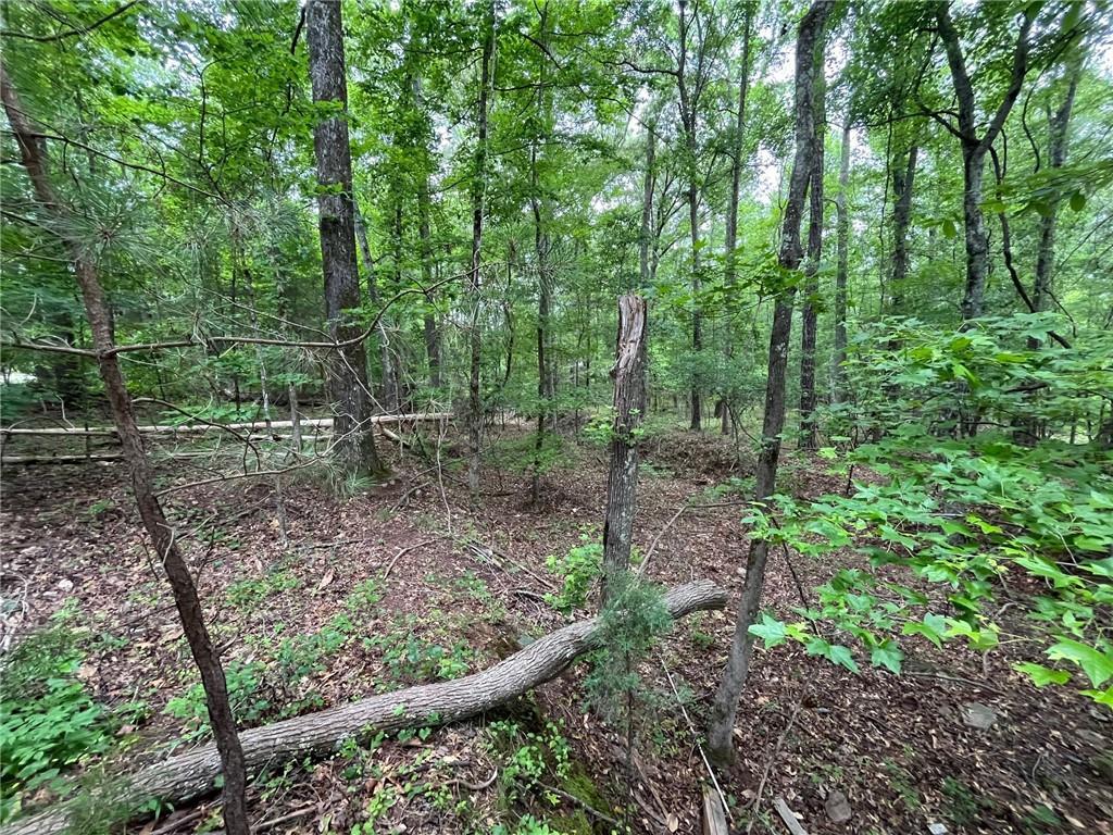1386 Highway 92, Fayetteville, GA 30215