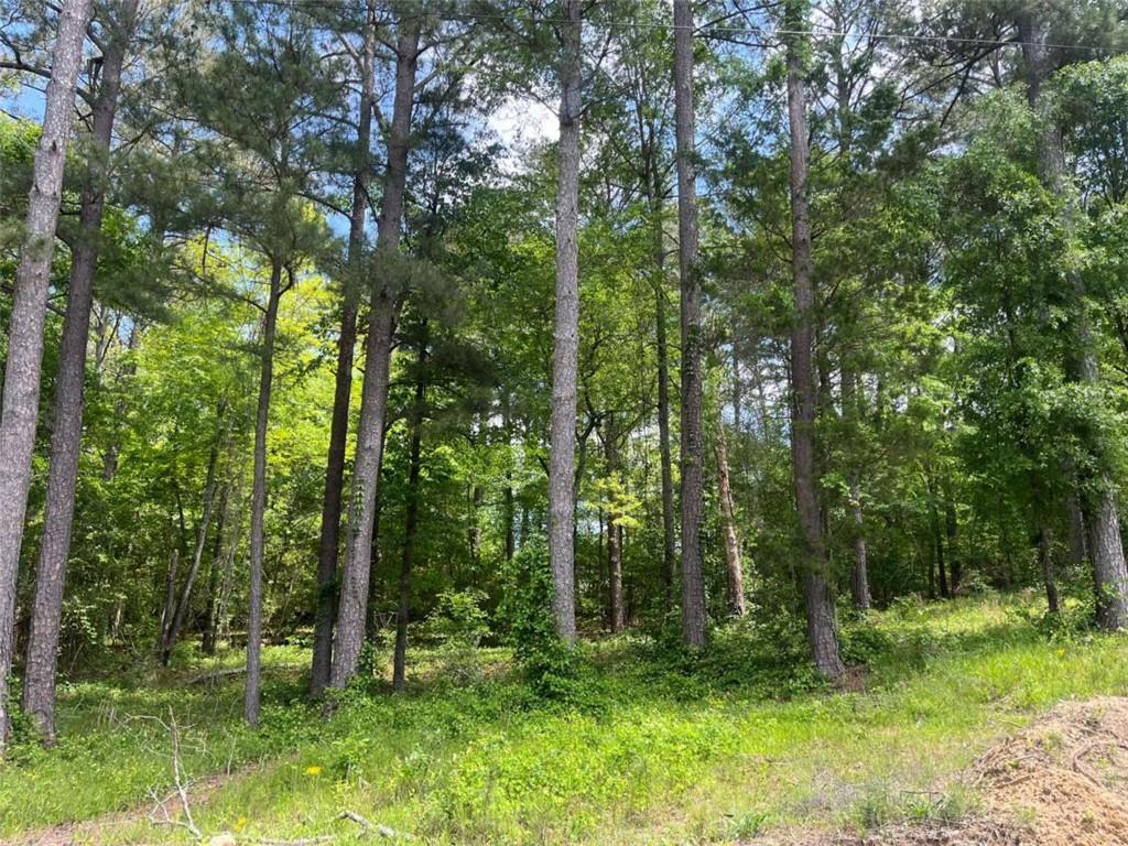 2517 Pinewood Dr., Conyers, GA 30012