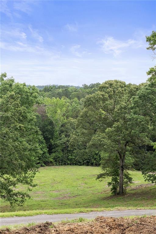 2265 Mount Carmel Rd., Newnan, GA 30263