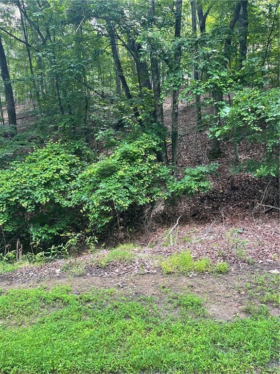 118 Morning Star Dr., Waleska, GA 30183