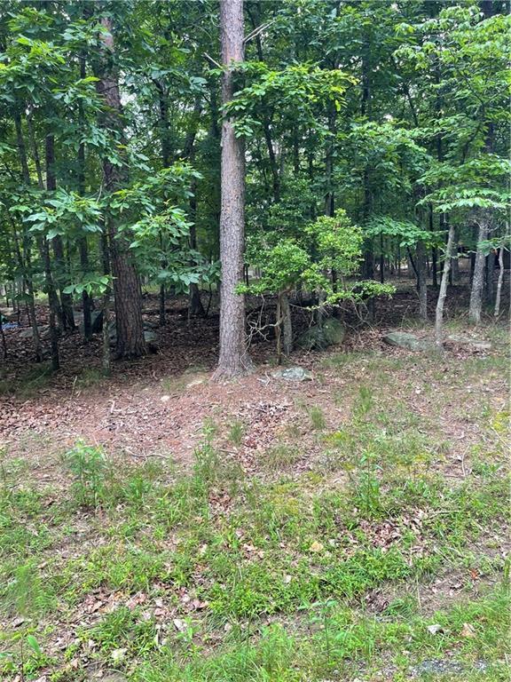 133 Pawnee St., Waleska, GA 30183