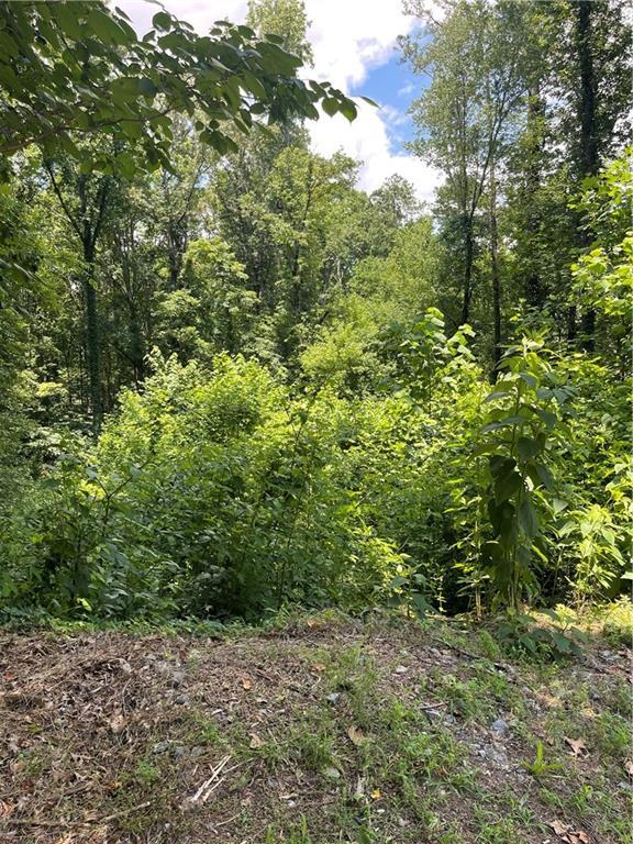 609 Ann Ct., Woodstock, GA 30188