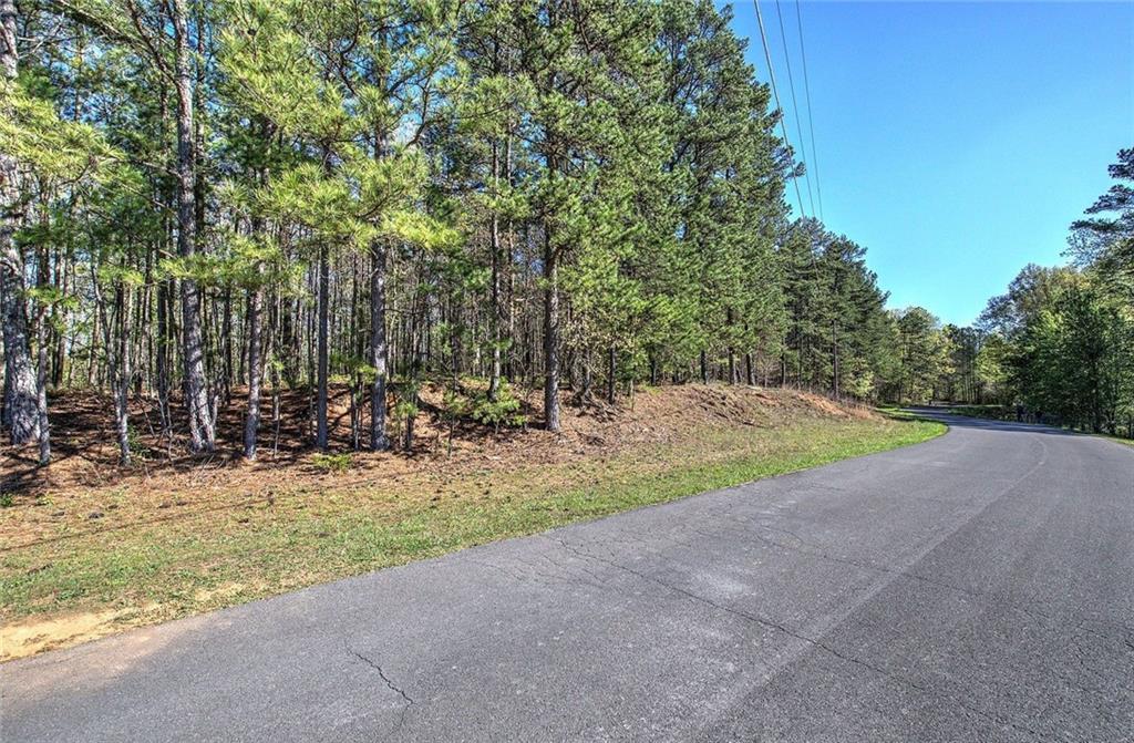 Mckibben Rd., Buchanan, GA 30113