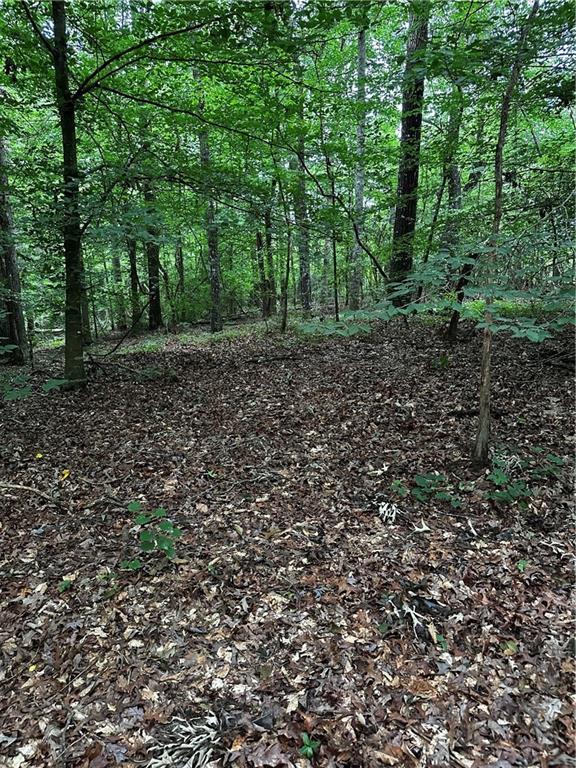 Ayers Rd, Bowdon, GA 30108