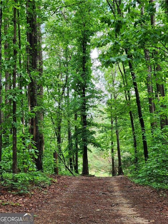 2760 Kesler Rd., Carnesville, GA 30521