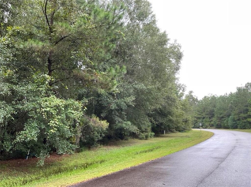 La Sole Ln., Waverly, GA 31565