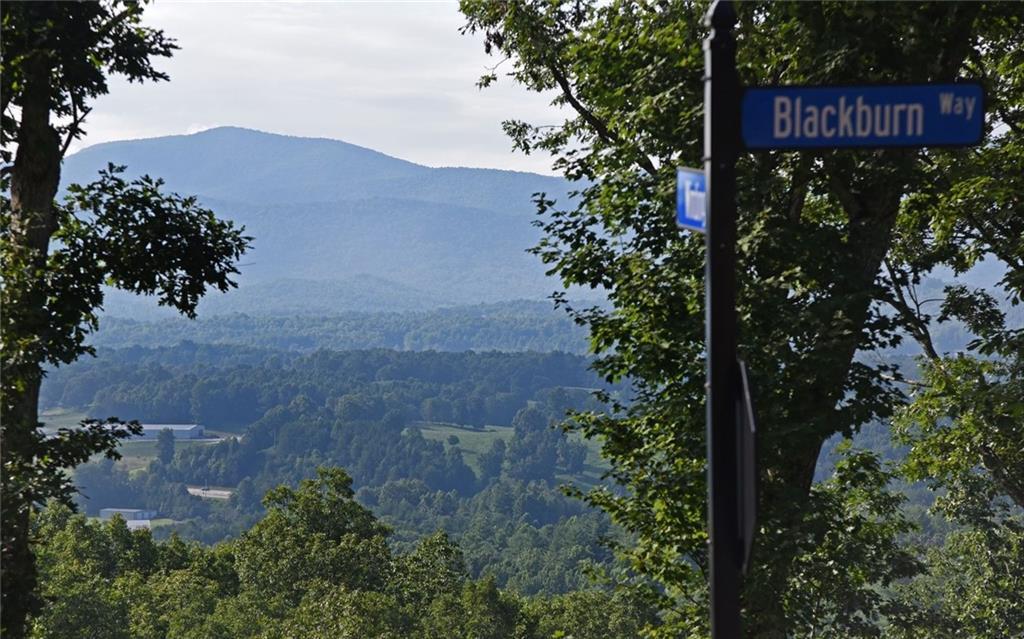 132 Highland Park Iii Park, Blairsville, GA 30512