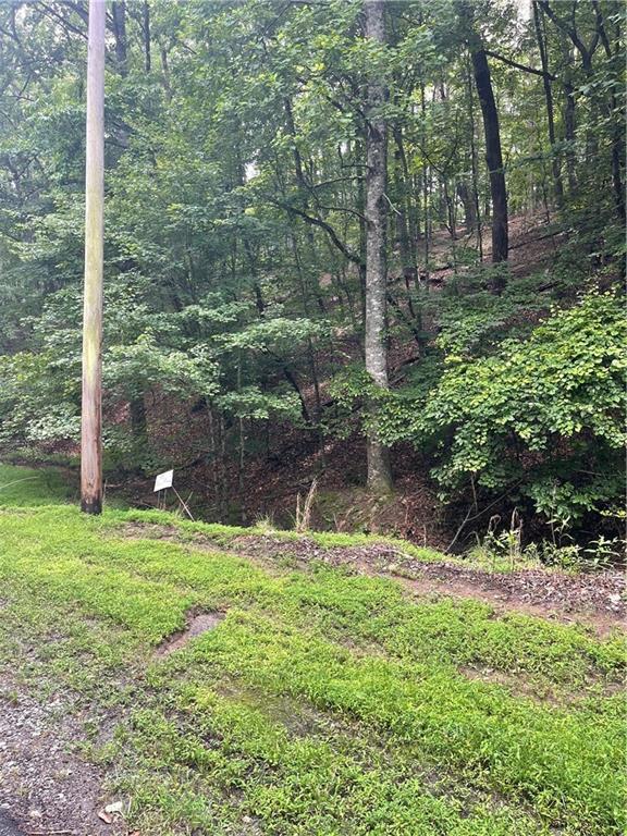 124 Morning Star Dr., Waleska, GA 30183