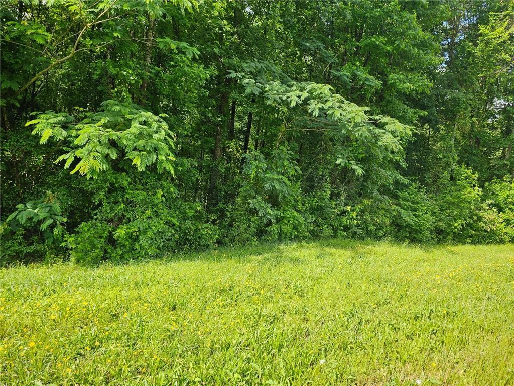 12109 Brown Bridge Rd., Covington, GA 30016