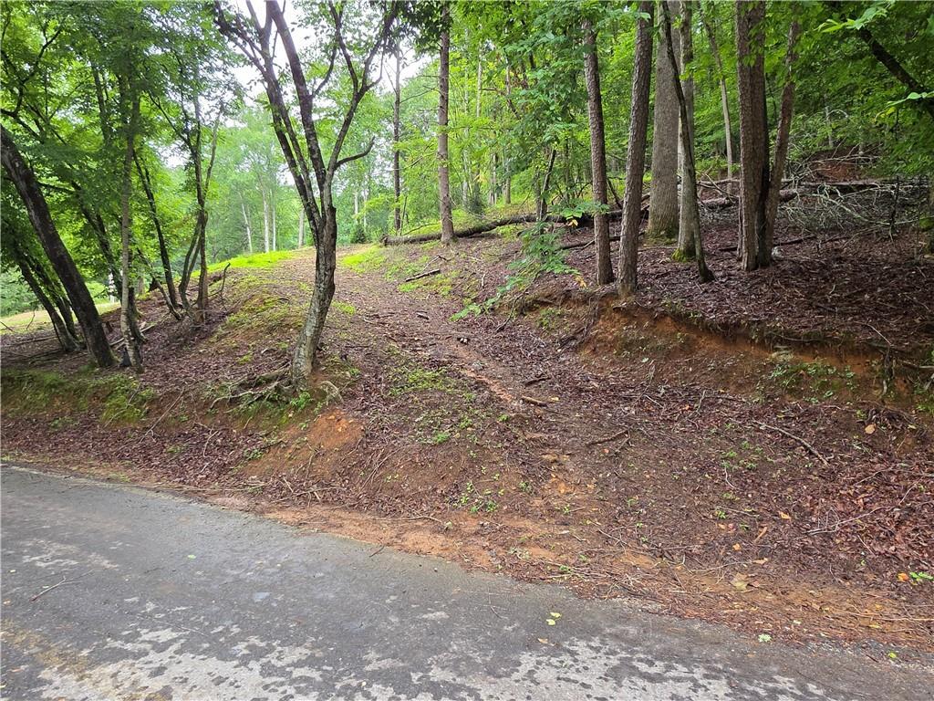 Edgewater Dr., Ellijay, GA 30540