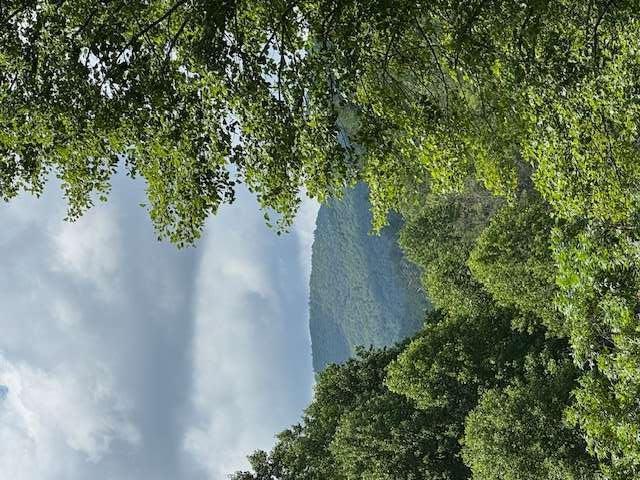0000 Big Creek Rd., Ellijay, GA 30536