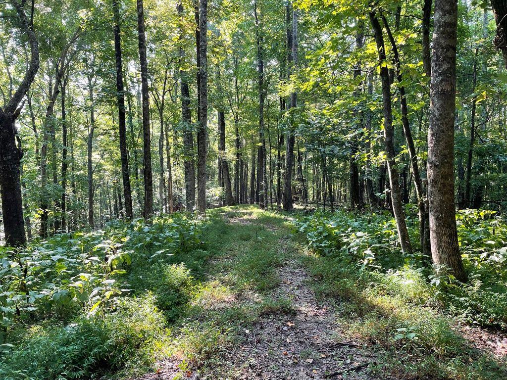 76 Tally Cove Rd., Jasper, GA 30143