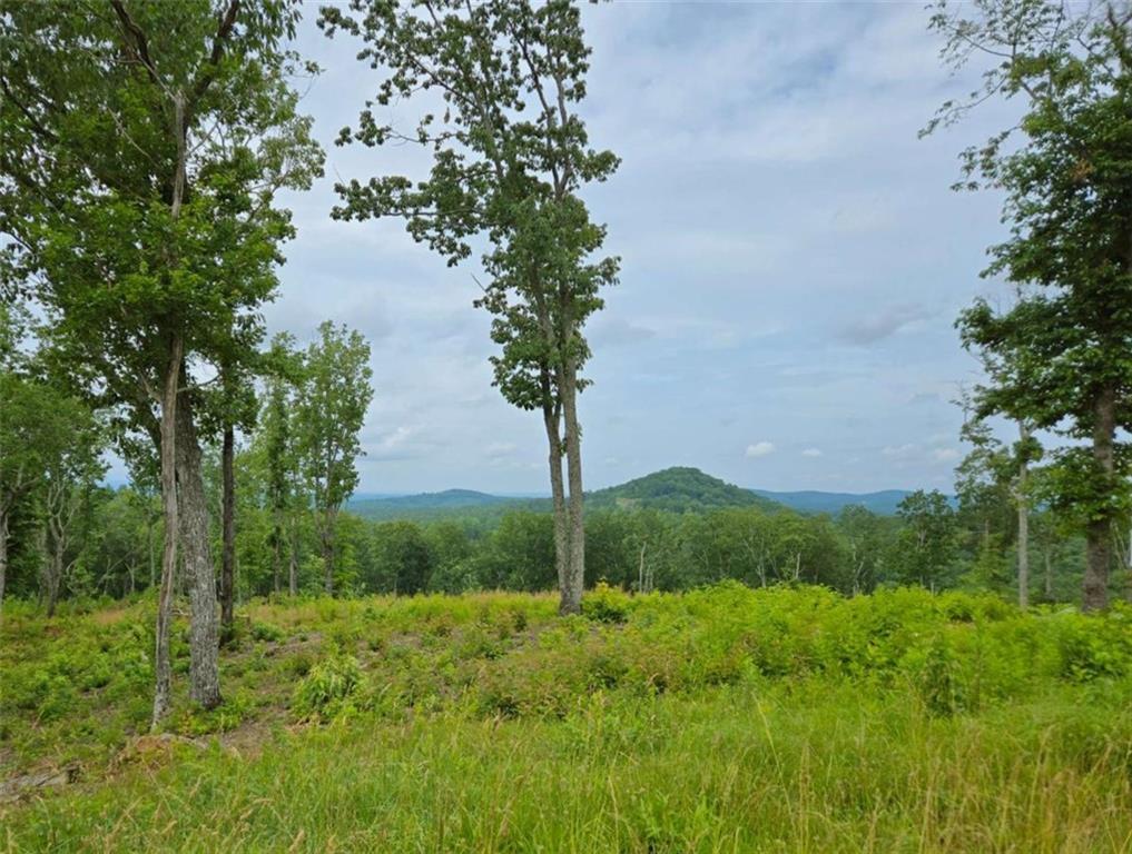 LOT 4 High Summit Dr., Talking Rock, GA 30175