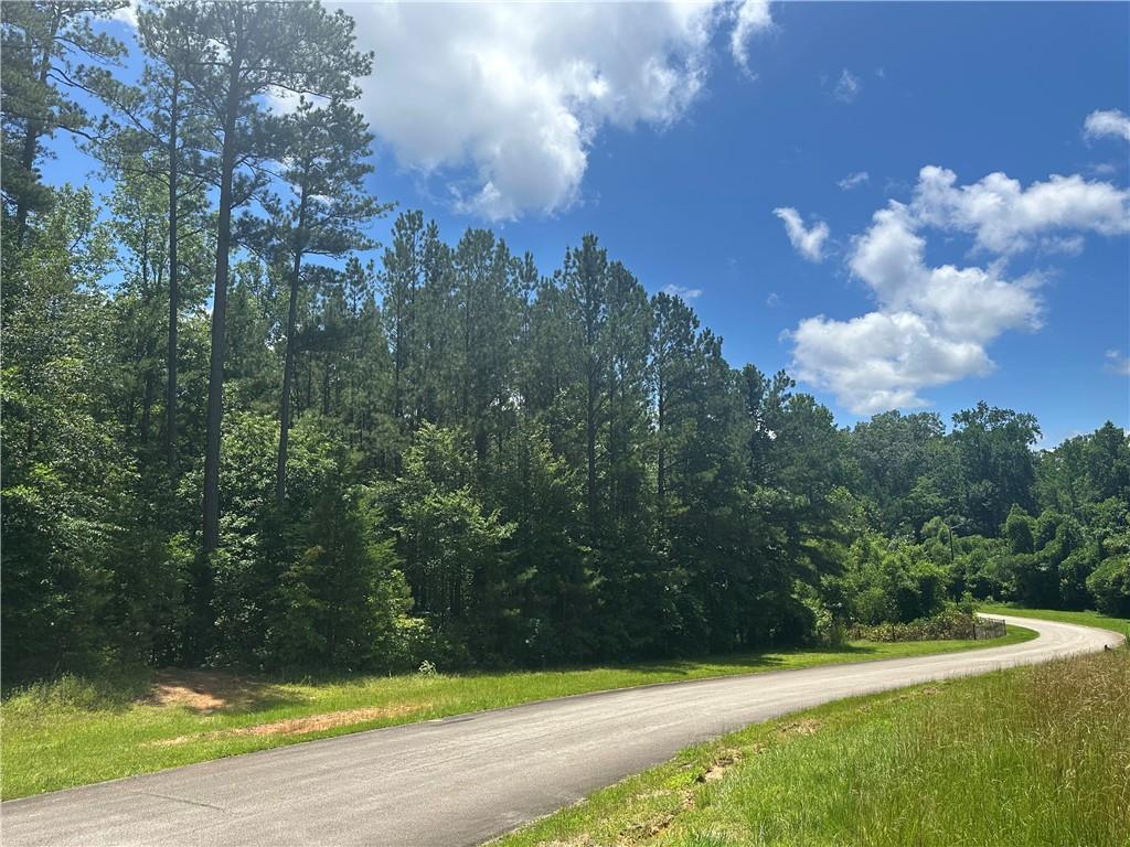 Elsberry Mountain Rd., Dallas, GA 30132