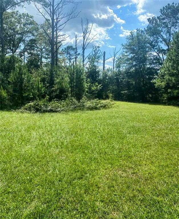 762 Aldridge Rd., Buena Vista, GA 31803