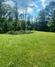 Homes Just Sold in Buena Vista: August 26th to September 1st