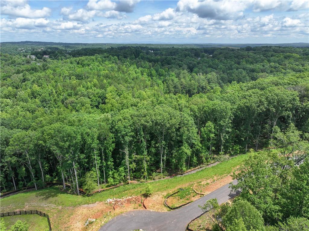 13585 Wood Fern Way, Milton, GA 30075