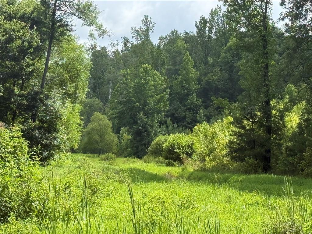 Turner Rd., Hampton, GA 30228