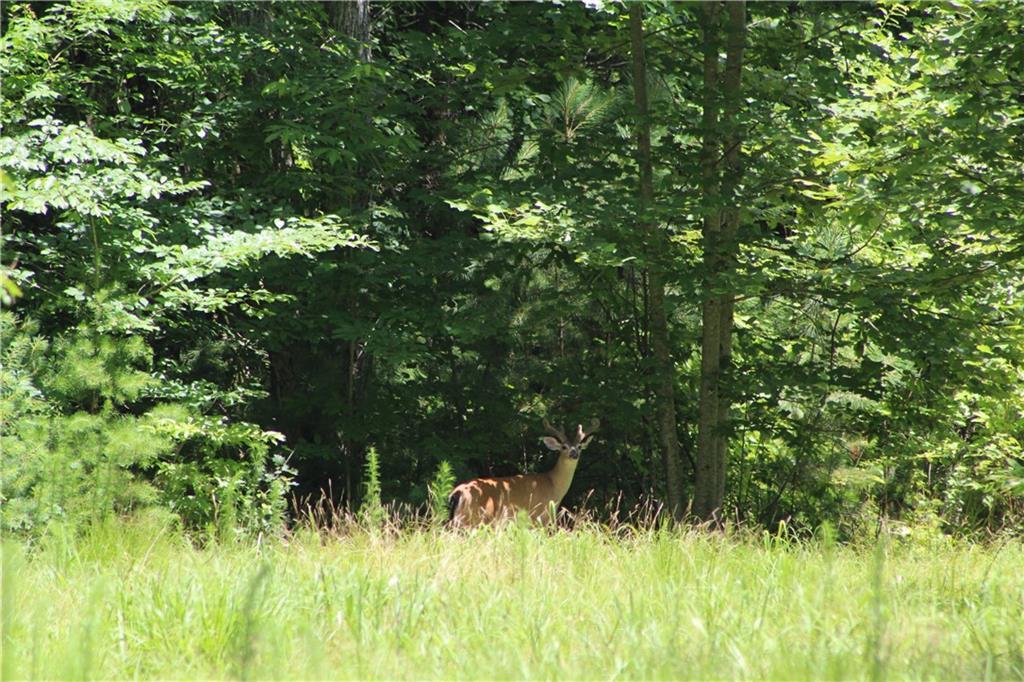 00000 Jumper Dr., Ellijay, GA 30540