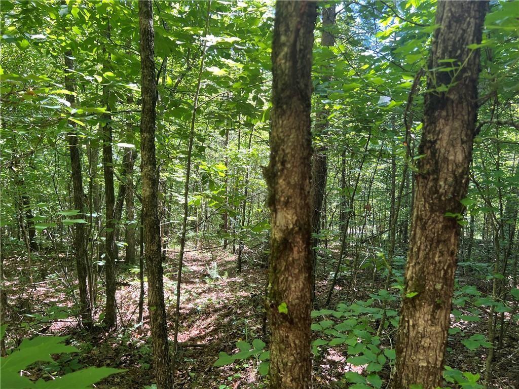 Fortner Rd., Ball Ground, GA 30107