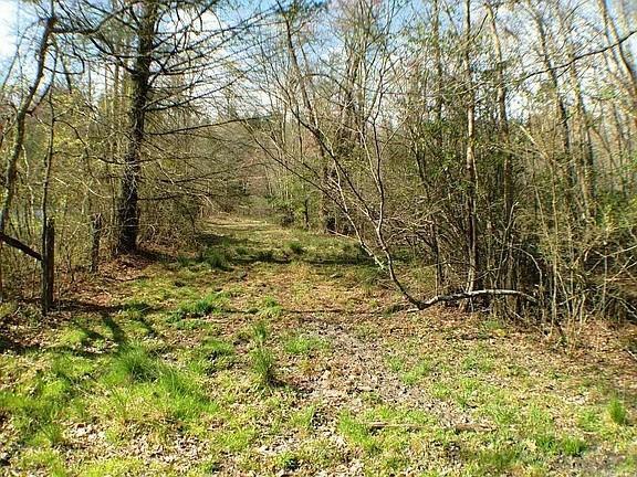 Doublehead Gap Rd., Blue Ridge, GA 30513